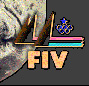 Federazione Italiana Vela