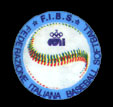 Federazione Italiana Baseball Softball