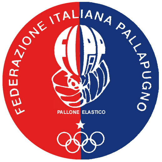 Federazione Italiana PallaPugno